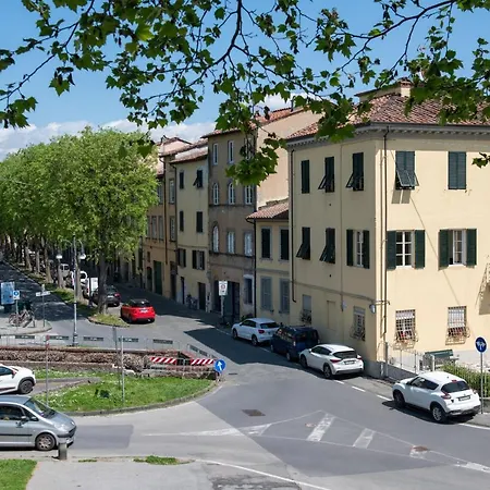 Cittadella *